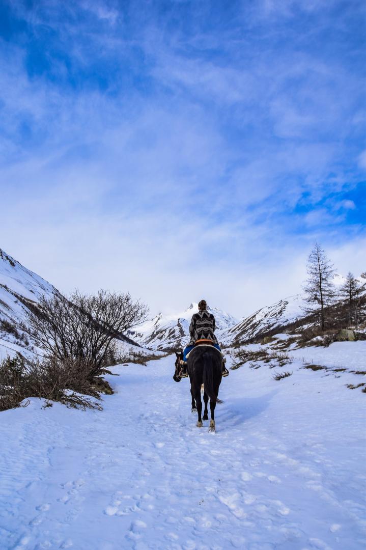 Winter horseback riding