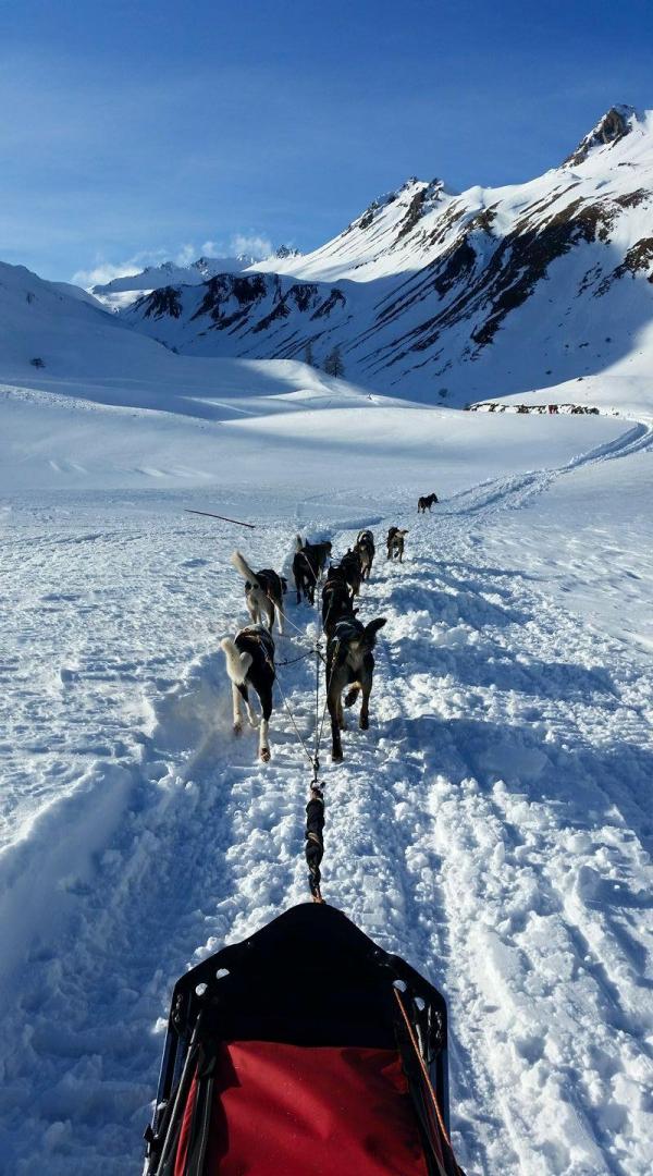 Balade en Chiens de Traineaux